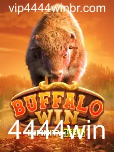 BuffaloWin: Aventura e Estratégia no Mundo dos Jogos